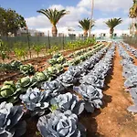 Floresta Apartahotel Puerto del Carmen (Lanzarote)