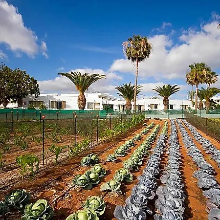 Floresta Lejlighedshotel Puerto del Carmen (Lanzarote)