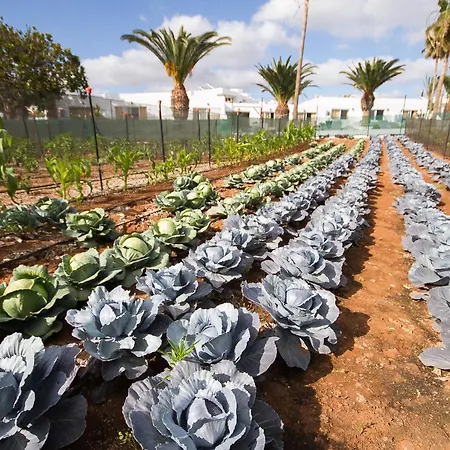 Floresta מלון דירות פוארטו דל כרמן