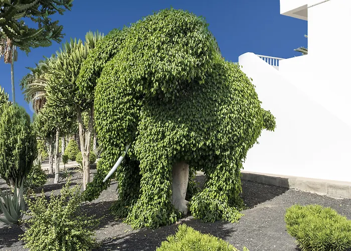 弗洛雷斯塔酒店