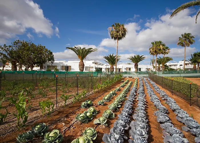 Floresta Lejlighedshotel 3*